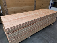 Foto 13 van 25x190MM  Antislip 400 CM Douglas