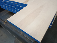20x260MM 285 CM Essen