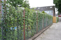 Gaaspaneel thermisch verzinkt