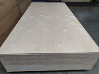 Foto 5 van 9 MM Berken multiplex 125x250cm BB/BB