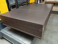 125x250cm Berken betonplex antislip