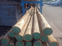 CLOEZIANA KOP 14CM 600 CM duurzaamheid klasse 1