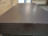 Foto 6 van 125X250CM Eucalyptus betonplex anti slip