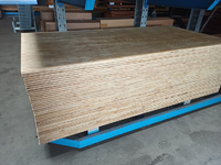 122x244cm 18 MM Elliottis Pine underlayment tg2