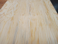 Foto 3 van 18MM 60x242cm Elliottis Pine Underlayment tg4