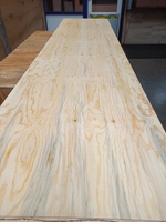 Foto 4 van 18MM 60x242cm Elliottis Pine Underlayment tg4