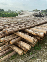 Spar in barst