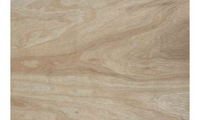Foto 2 van 12 MM 122X244CM MULTIPLEX B/BB HARDWOOD