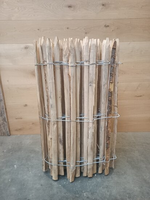 Kastanje palen / hekwerk