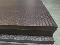 Berken betonplex Anti slip Hexa