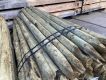 Geimpregneerd Naaldhout
