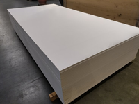 122x250cm Multiplex interieur Wit